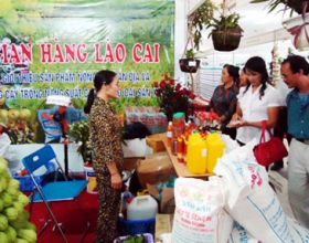 Gia Lai: Triển lãm nông nghiệp và làng nghề