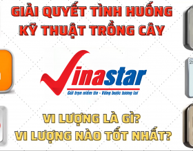 Vi lượng tốt nhất cho cây trồng | Vi lượng là gì? | Bổ sung vi lượng cho cây bằng cách nào tốt?