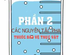 Các nguyên tắc pha thuốc để thuốc không mất tác dụng